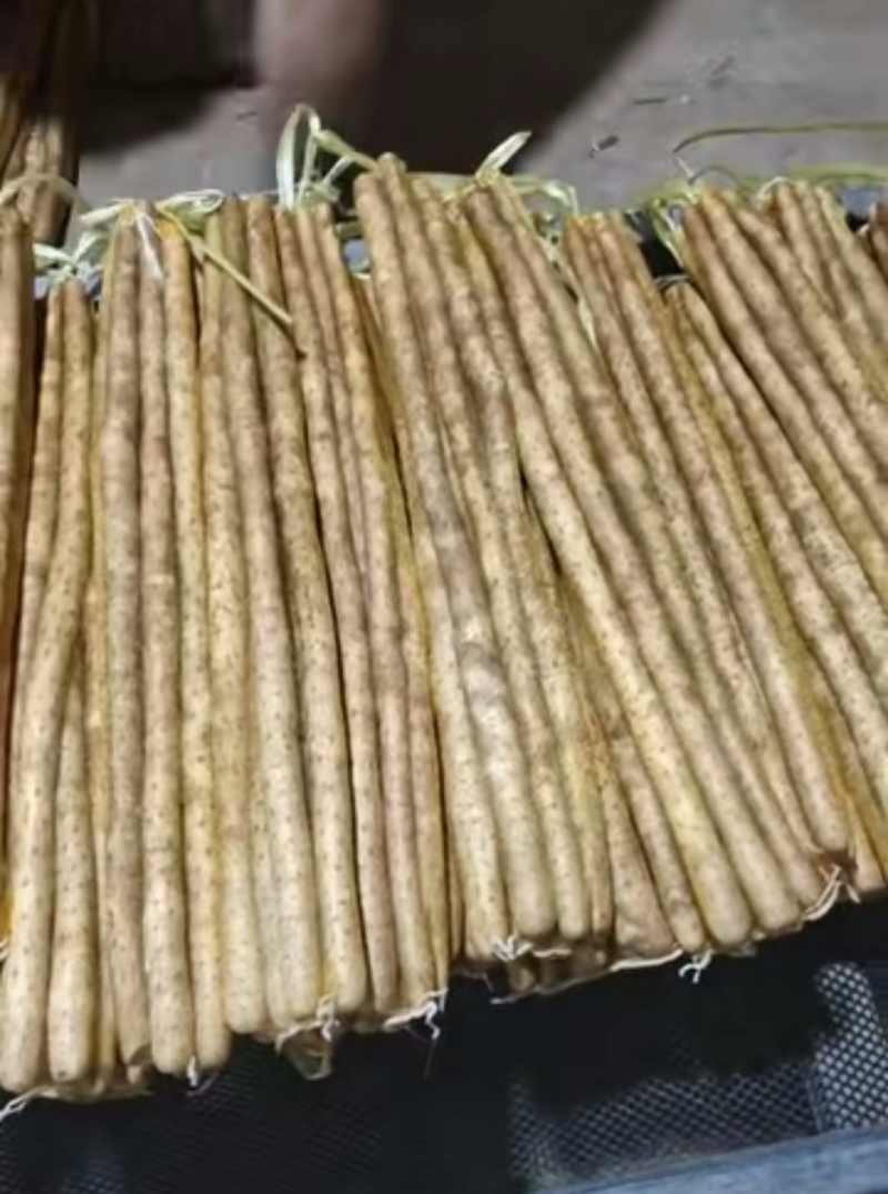 小白嘴山药产地直销，大量现货，量大从优，品质有保障