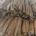 小白嘴山药产地直销，大量现货，量大从优，品质有保障