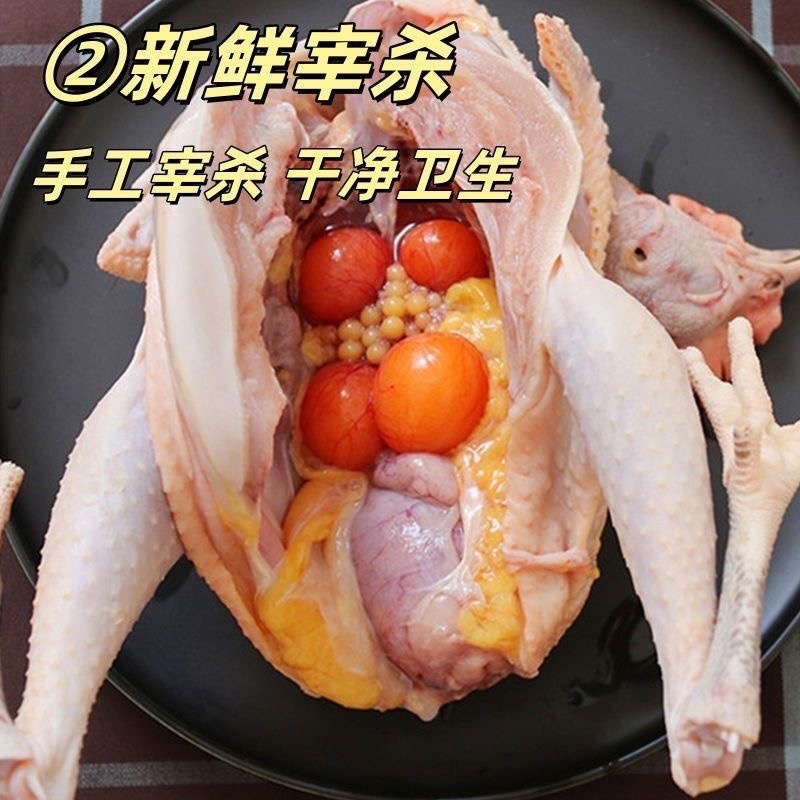 老母鸡
