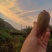 碧玉猕猴桃，高山果，适合渠道，档口商超，社区团购