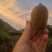 碧玉猕猴桃，高山果，适合渠道，档口商超，社区团购