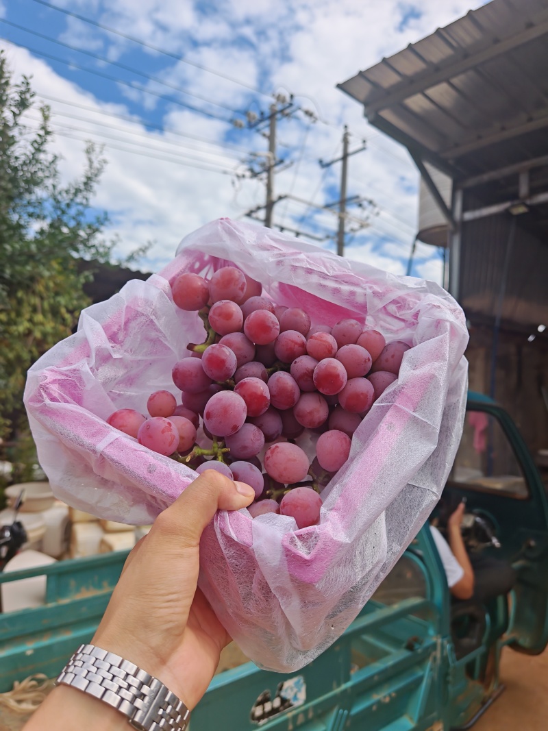 妮娜网红框