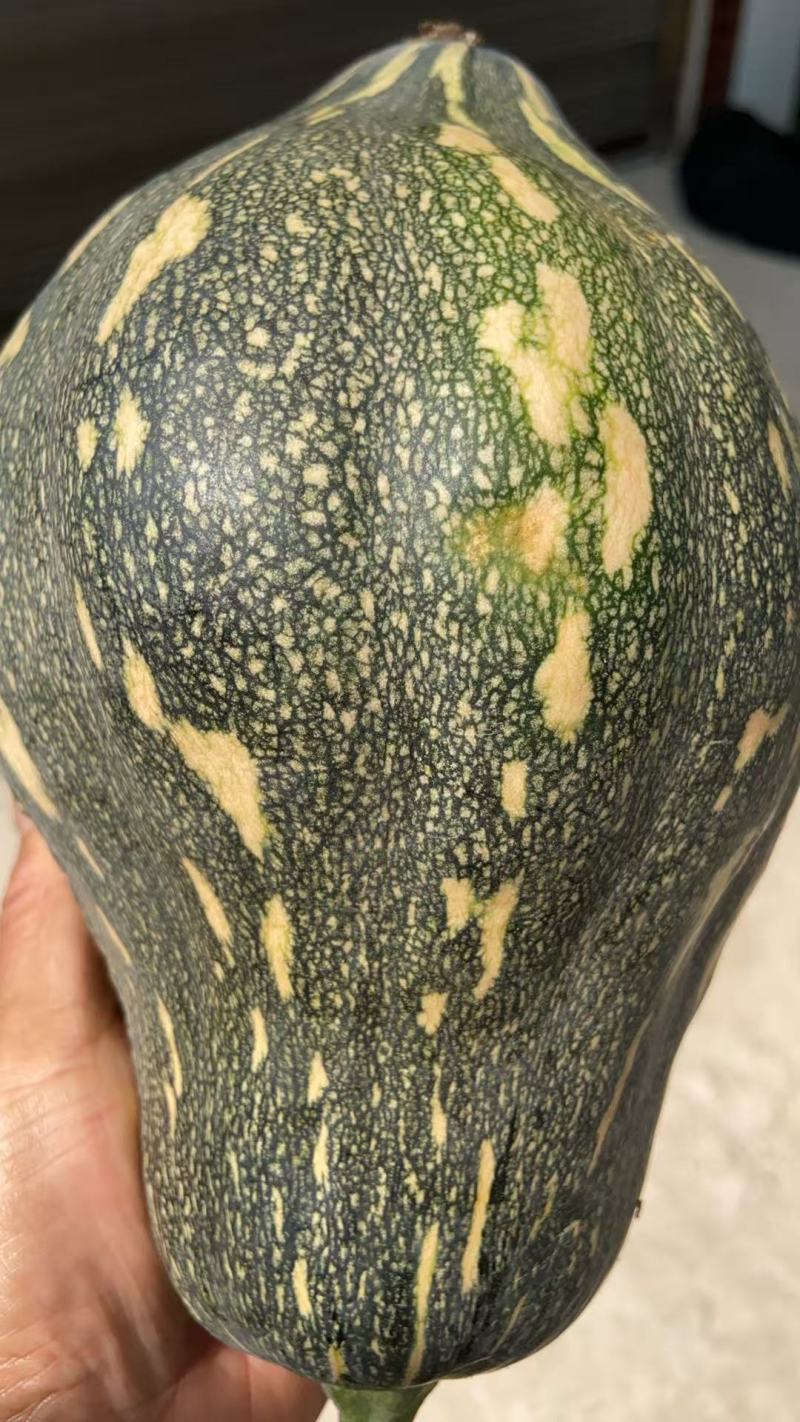 香芋南瓜，一手货源，品质保证，量大从优，可视频看货