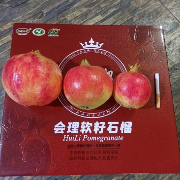 软籽石榴