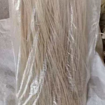红薯粉条