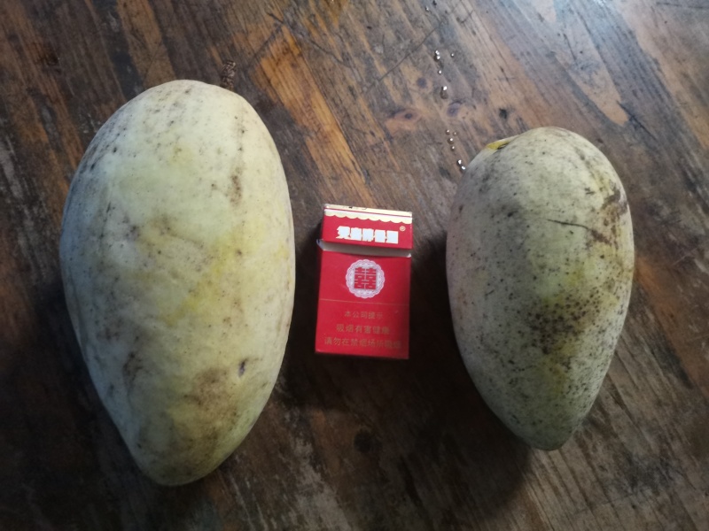 大量工厂货地摊货金煌芒出售