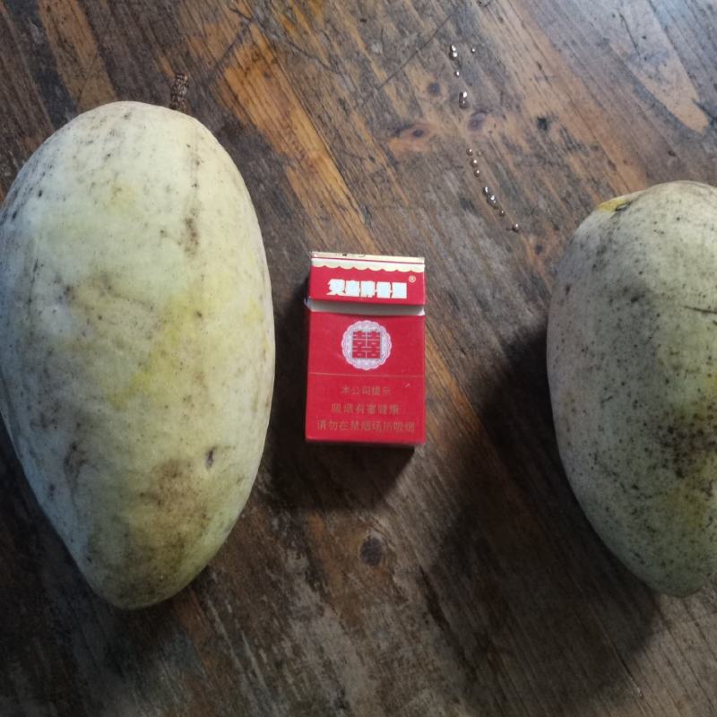 大量工厂货地摊货金煌芒出售
