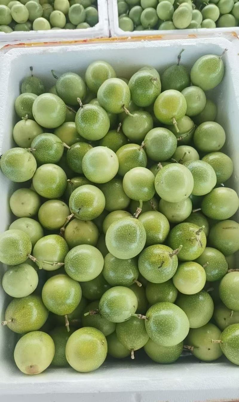 钦蜜9号黄金百香果，口感好纯甜，多汁，，，