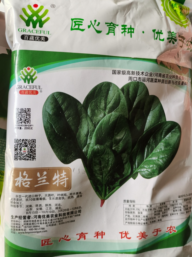 优美格兰特华盛F1菠菜种子墨绿叶抗病丰产优质耐贮