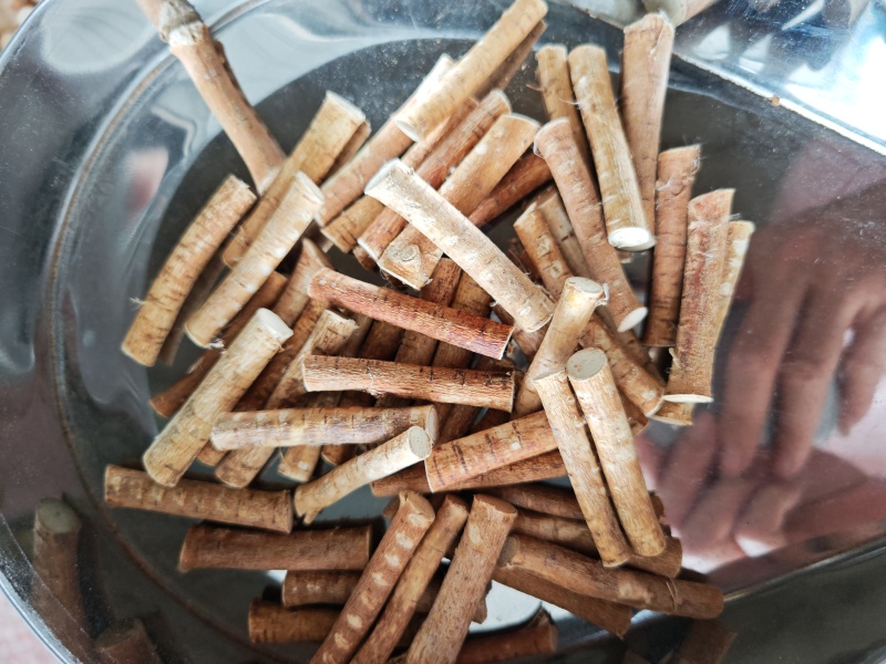 五指毛桃小节