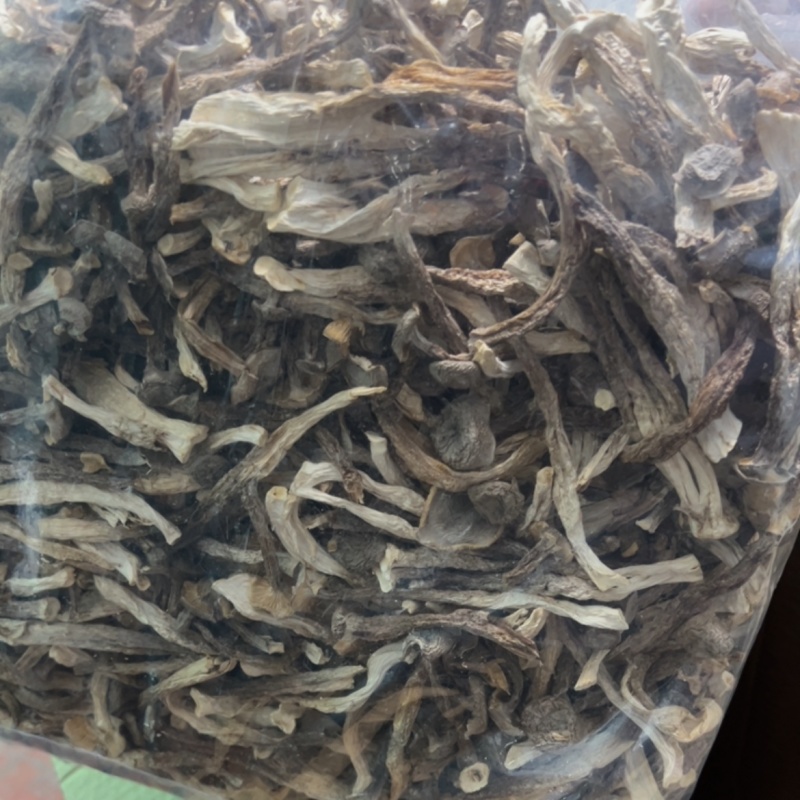 鹿茸菇厂家直营