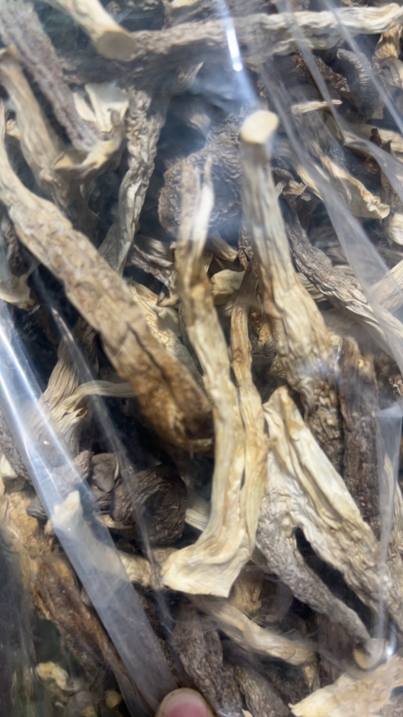鹿茸菇厂家直营