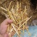小麦秸秆