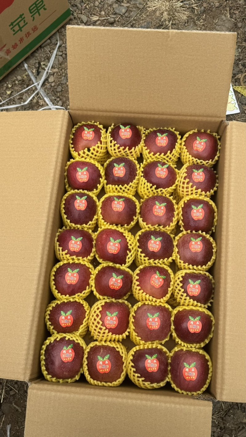 云南昭通冰糖心丑苹果