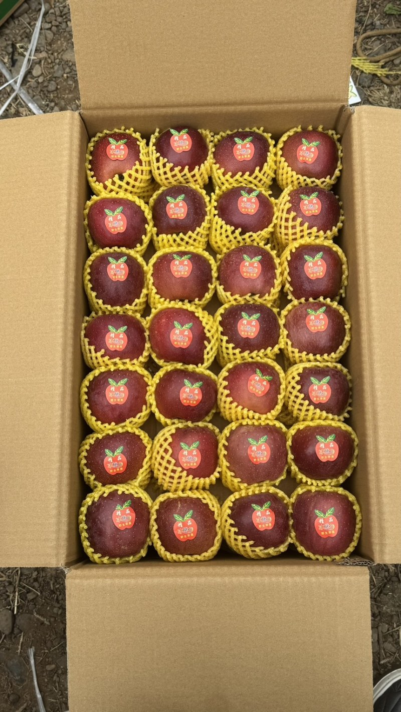云南昭通冰糖心丑苹果