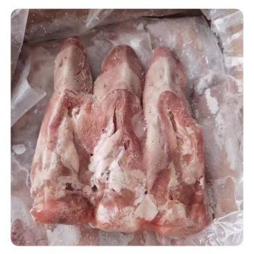 口条