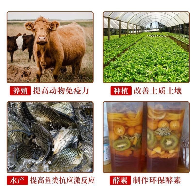 红糖工业红糖农业种植培菌发酵专用水产养殖红糖饲料