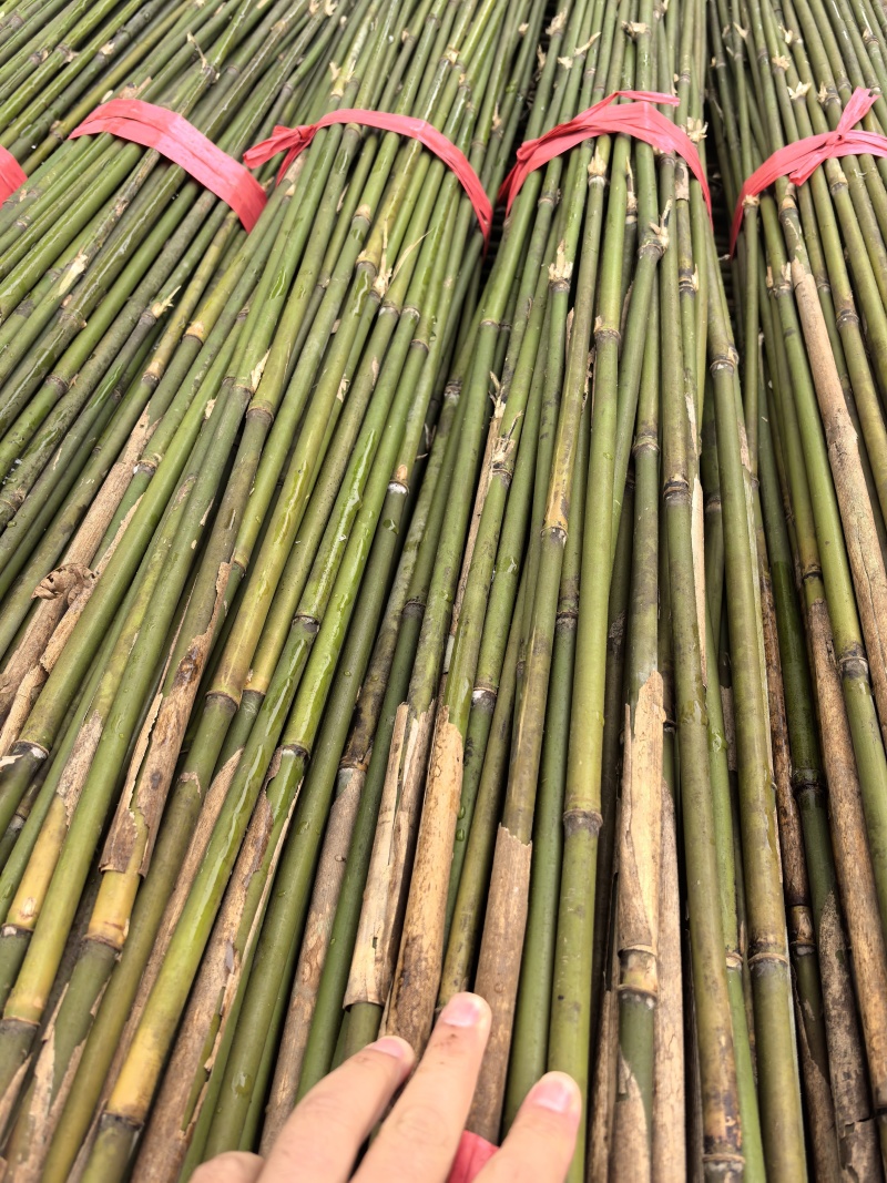 毛竹，书法毛笔专用竹竿产地批发欢迎电话联系