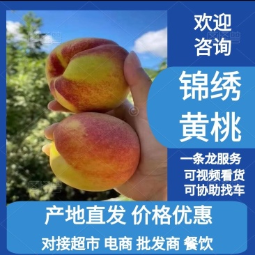 麻阳黄桃锦绣黄桃产地直发货源充足质优价廉欢迎下单