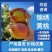 麻阳黄桃锦绣黄桃产地直发货源充足质优价廉欢迎下单