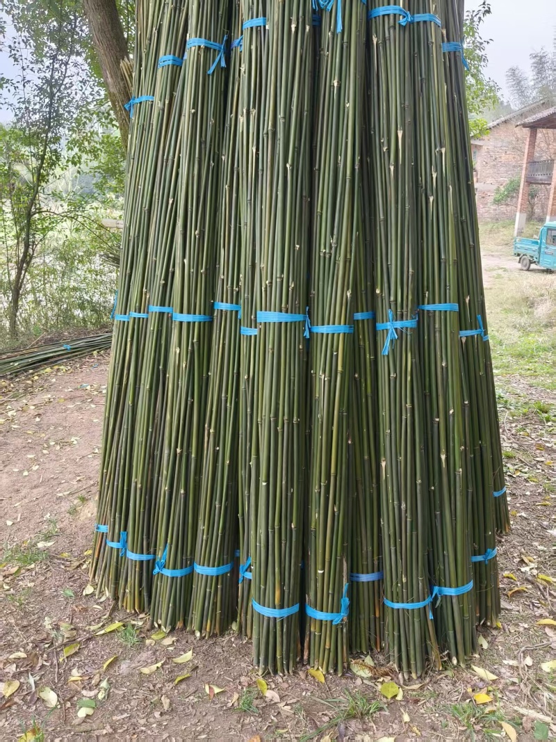 毛竹，书法毛笔专用竹竿产地批发欢迎电话联系