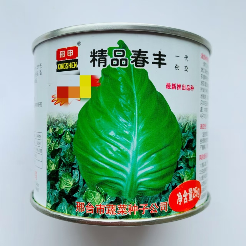 邢申精品春丰甘蓝种子秋播耐寒结球尖甘蓝包菜种籽菜园基地蔬