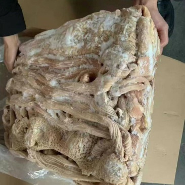 牛大肠