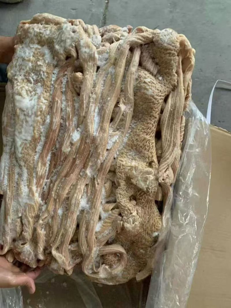 牛大肠