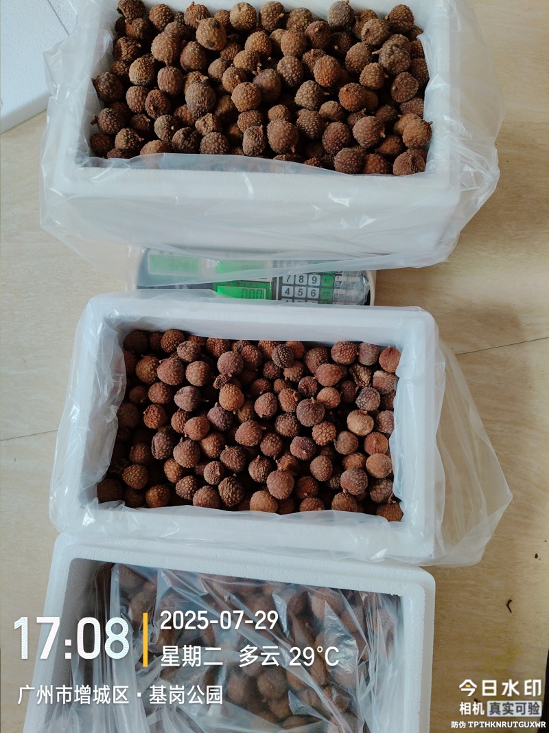 原产地仙进奉荔枝干