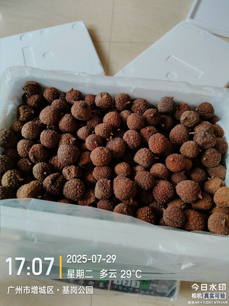 原产地仙进奉荔枝干