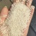 沈阳国标一级珍珠米1.87（含彩包）上门现货现提