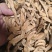 千年健干净无杂质批发零售量大优惠