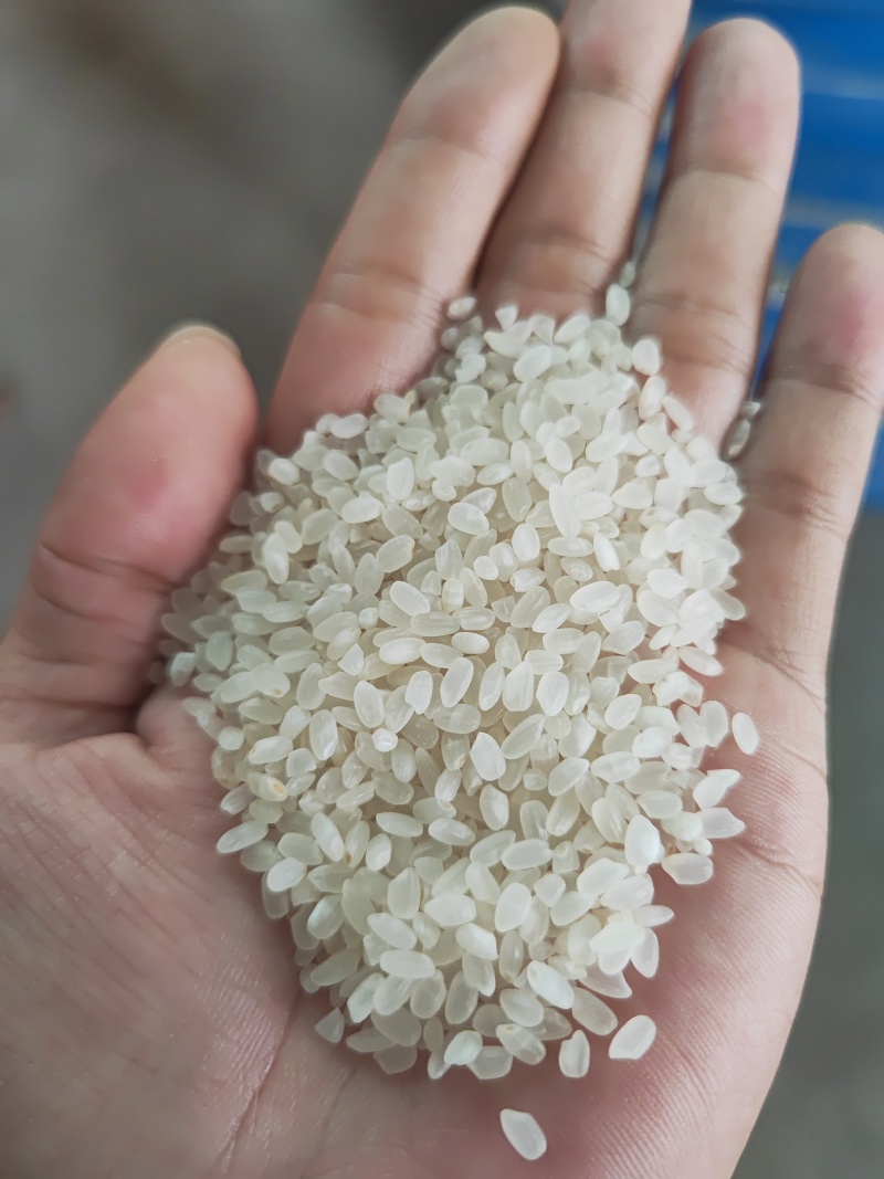 沈阳国标一级珍珠米1.87（含彩包）上门现货现提