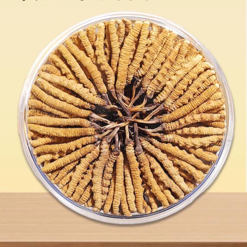 冬虫夏草大量供应，精品发货规格齐全保质保量包邮