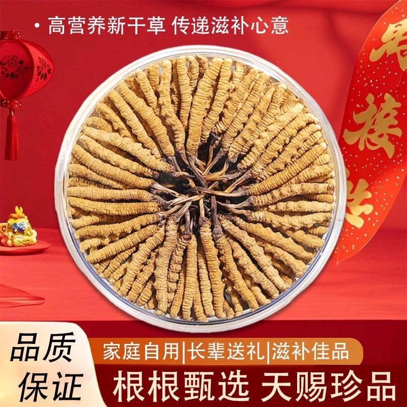 冬虫夏草大量供应，精品发货规格齐全保质保量包邮