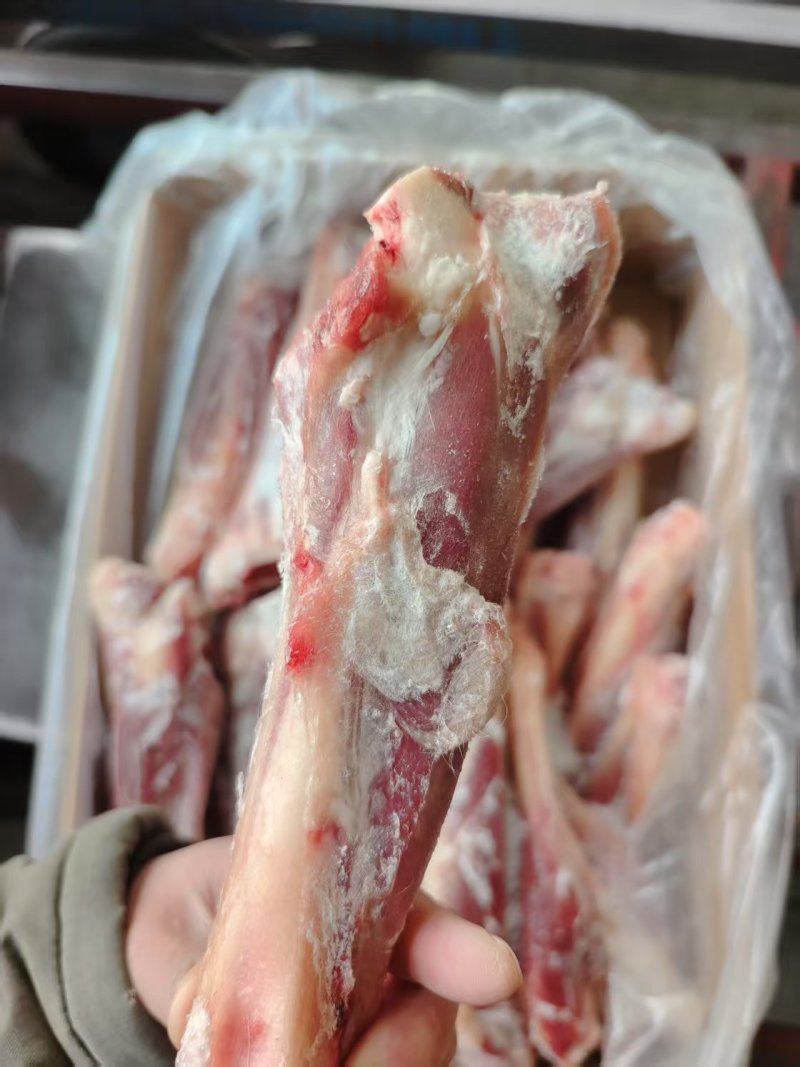 羊前金刚羊小腿
