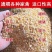 碎玉米鸡鸭鹅养殖饲料