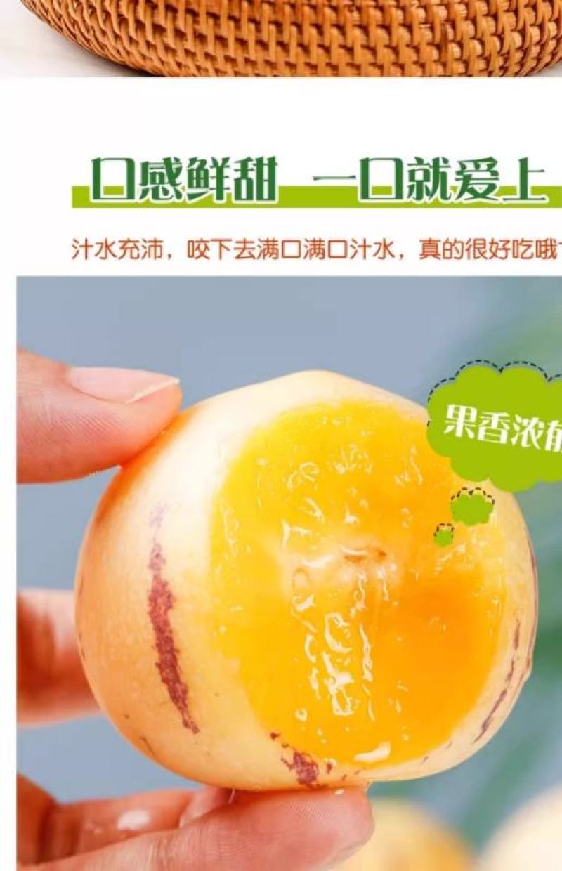 石林正季人参果树上熟新鲜多汁新鲜当季