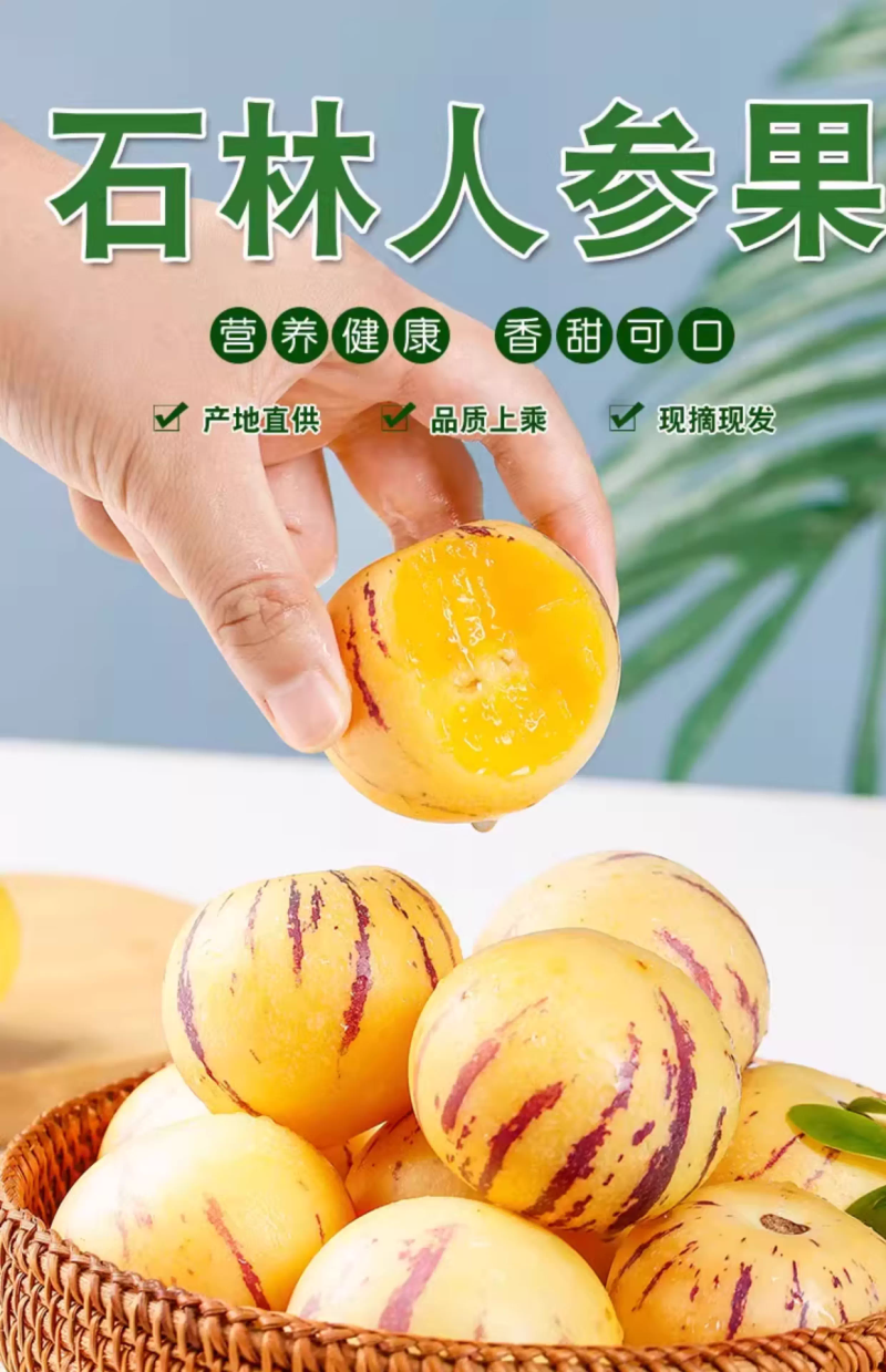 石林正季人参果树上熟新鲜多汁新鲜当季