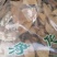 走马胎批发零售量大优惠