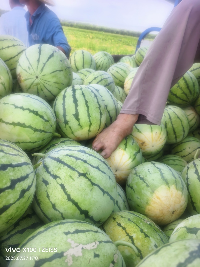 江永西瓜，味甜汁多，品质保证，品种多源化。