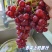炎炎夏日，解暑必备！新疆三色葡萄汇聚一堂[哇]无