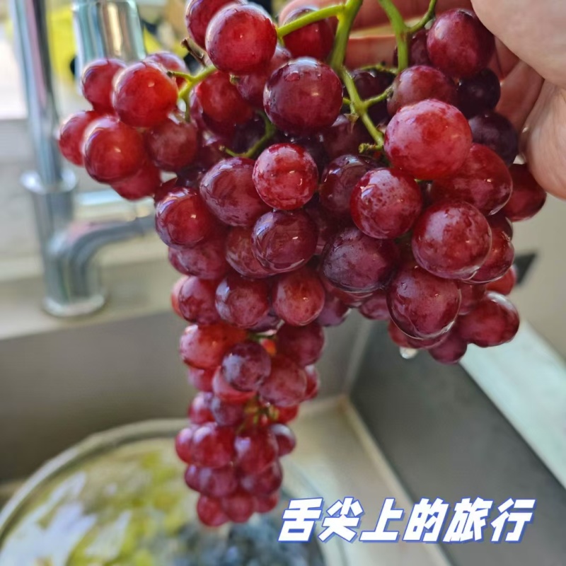 炎炎夏日，解暑必备！新疆三色葡萄汇聚一堂[哇]无