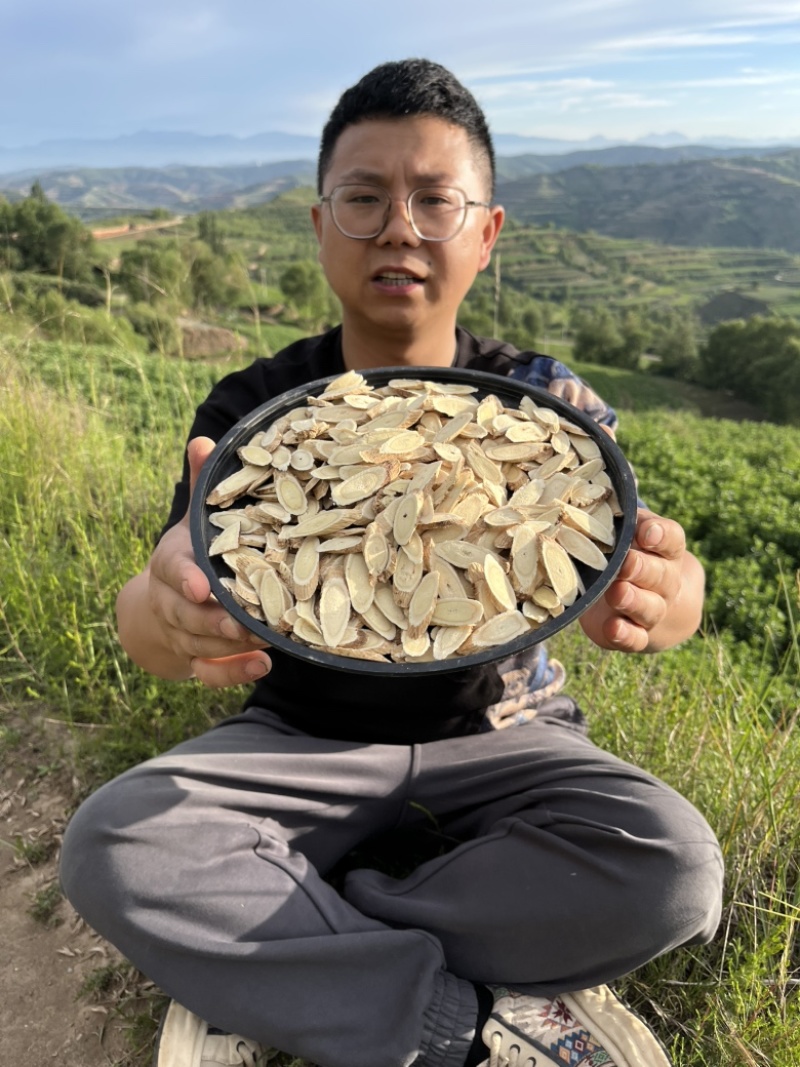 正品黄芪24小时在线服务货源充足快来选购