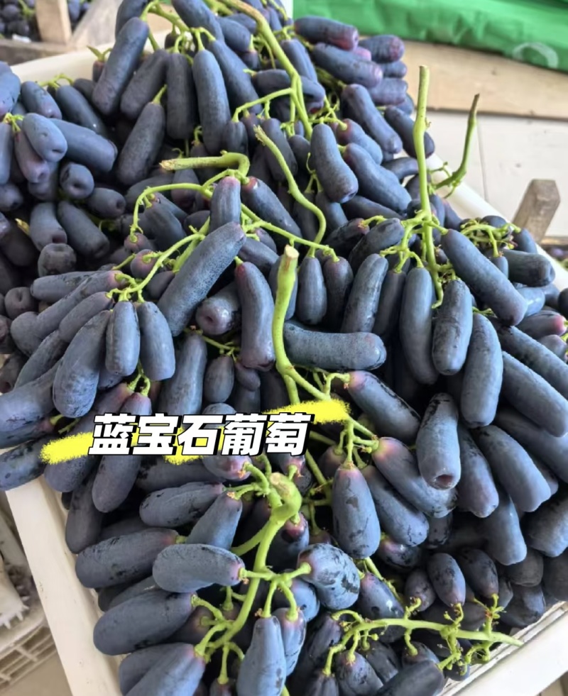 陕西蓝宝石葡萄产地实力代办/品质保证/口感好价格低糖度高