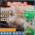【拍5发10】正宗大别山葛根粉条粉丝葛根粉粉条细粉条