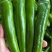 河南【鲜辣椒】羊角椒种植基地看货论价保质保量欢迎订购