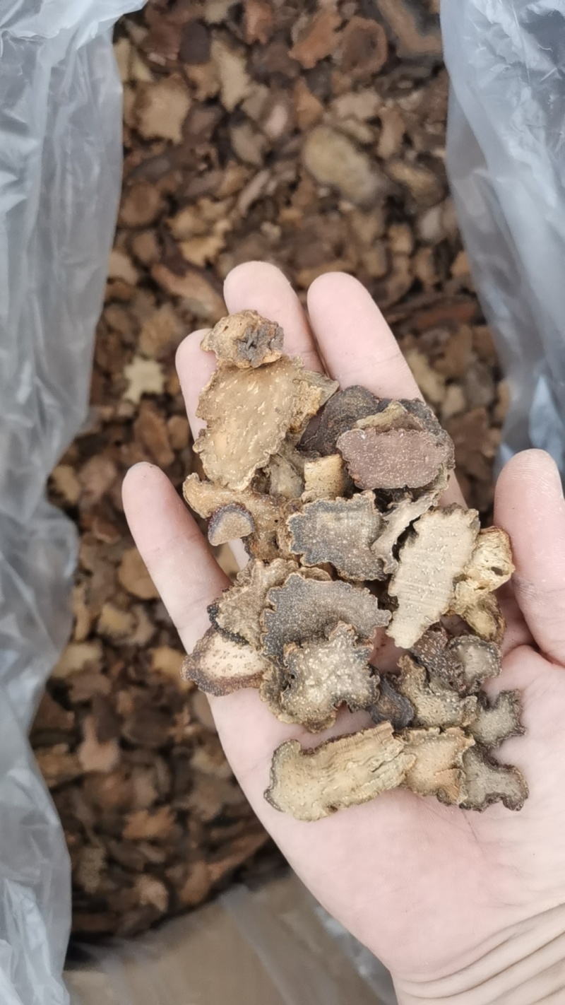 内蒙野生金锁阳切片特级整根中药材男性肉苁蓉泡