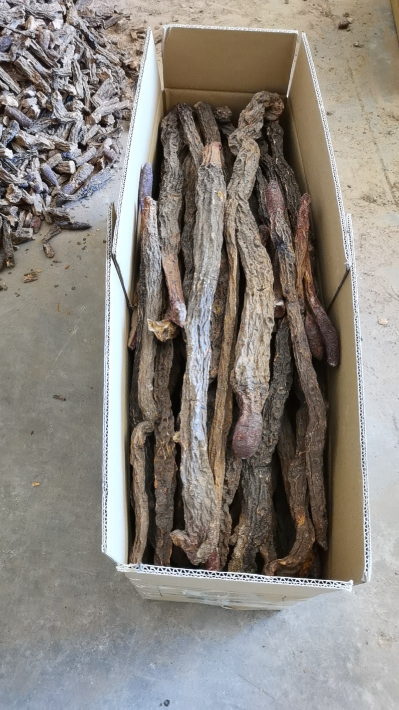 内蒙野生金锁阳切片特级整根中药材男性肉苁蓉泡
