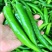 河南【鲜辣椒】羊角椒种植基地看货论价保质保量欢迎订购